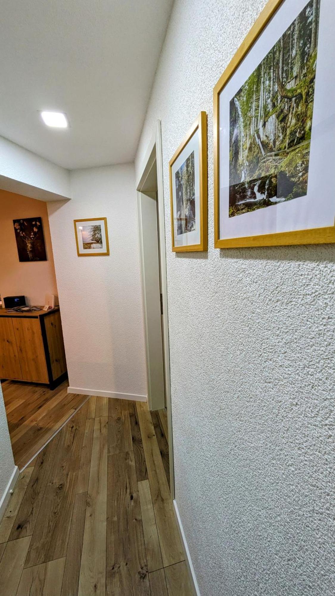 Ferienwohnung Albbruck/Albert Dış mekan fotoğraf