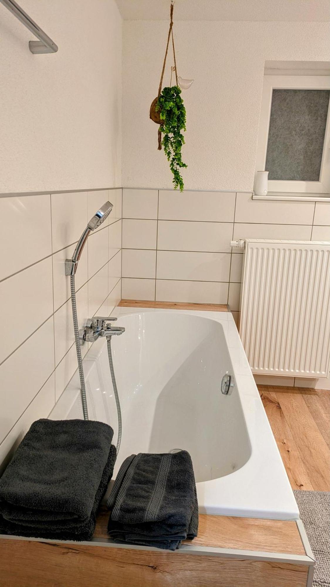 Ferienwohnung Albbruck/Albert Dış mekan fotoğraf